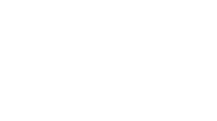 MGI Geodezja